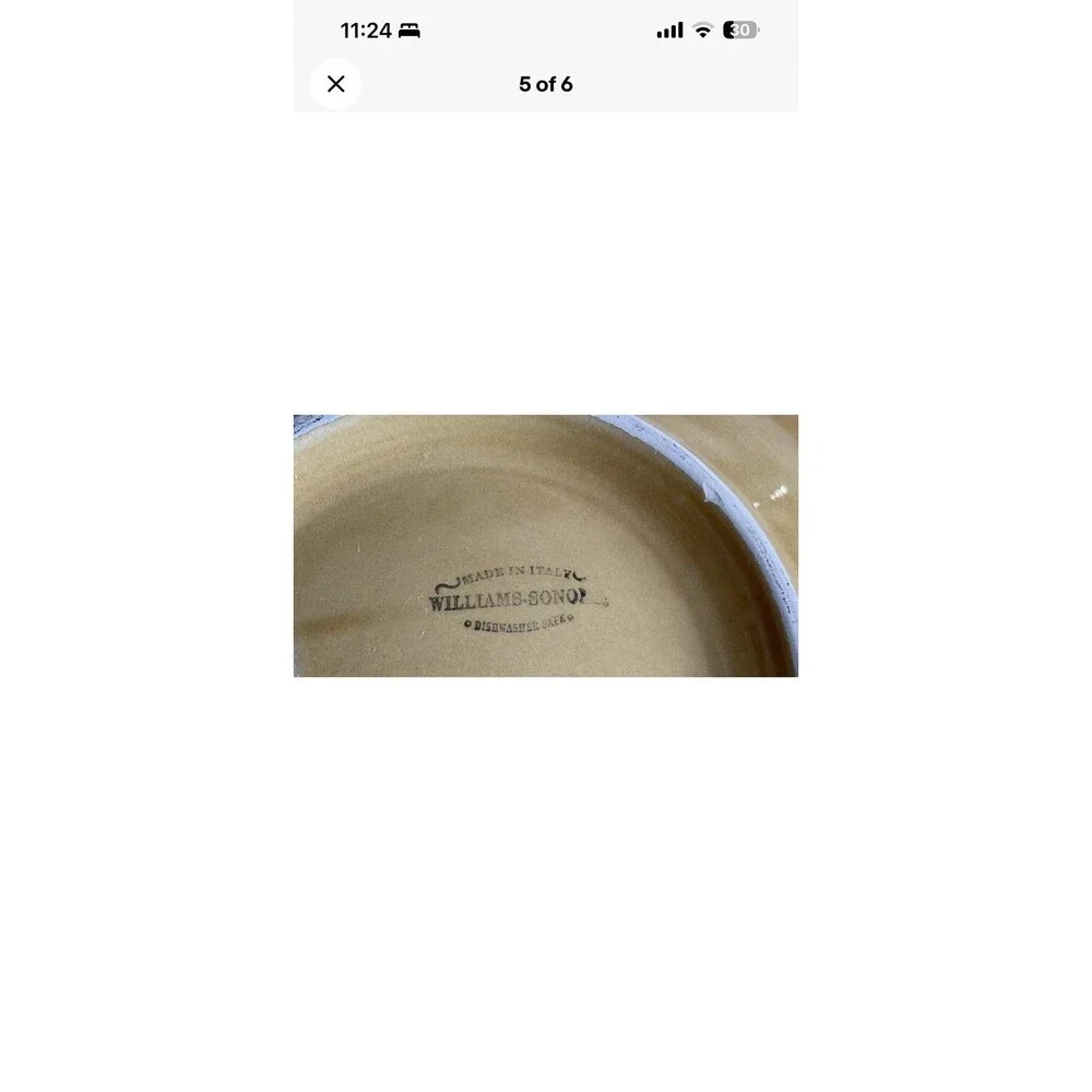 Williams Sonoma Pumpkin Large Ceramic Serving/Pasta Bowl Fall Thanksgiving 14”